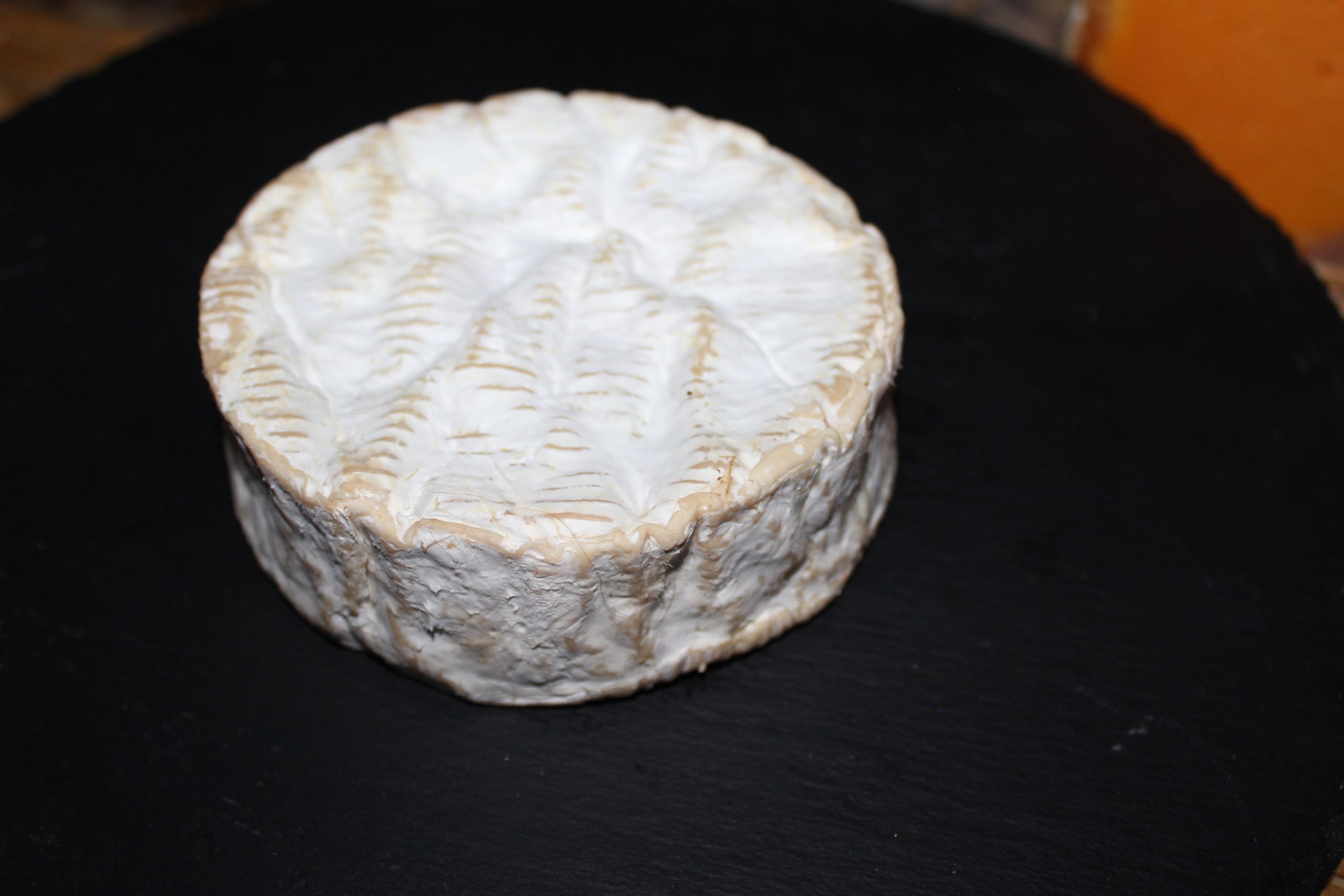 Camembert