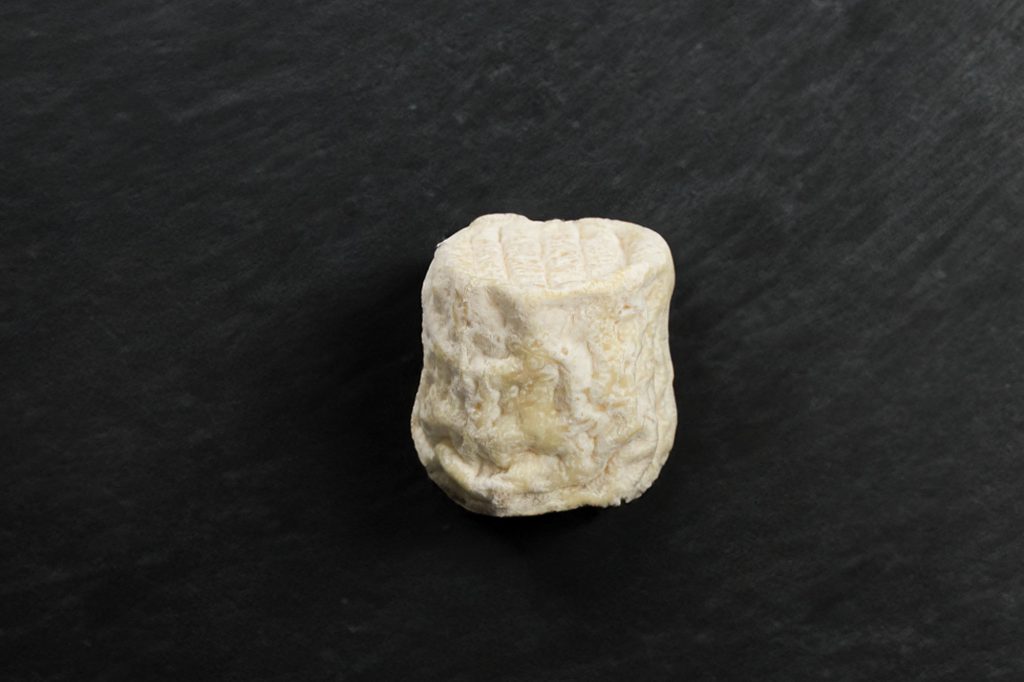 Chabichou du Poitou, fromage de chèvre à croûte naturelle, sur ardoise