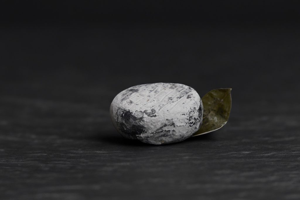 Petit chèvre cendré posé sur une feuille verte, sur ardoise