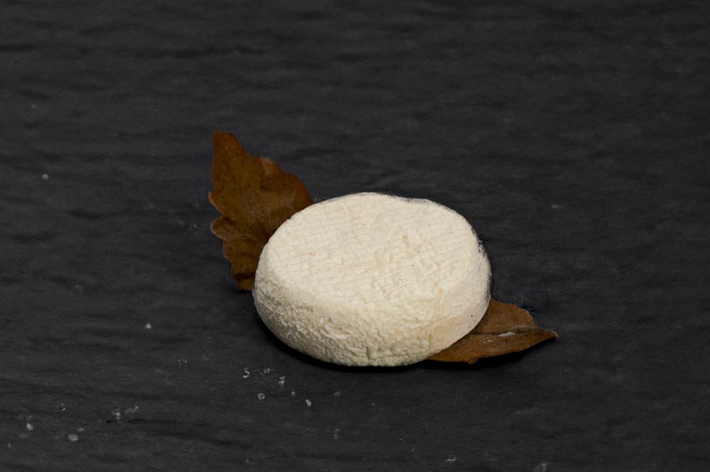 Mothais, fromage de chèvre blanc posé sur une feuille de châtaignier