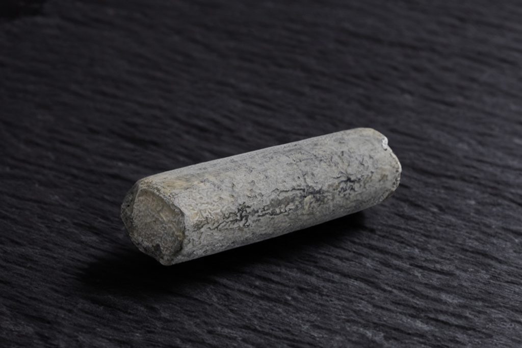 Bûche de Sainte-Maure de Touraine à croûte cendrée, sur ardoise