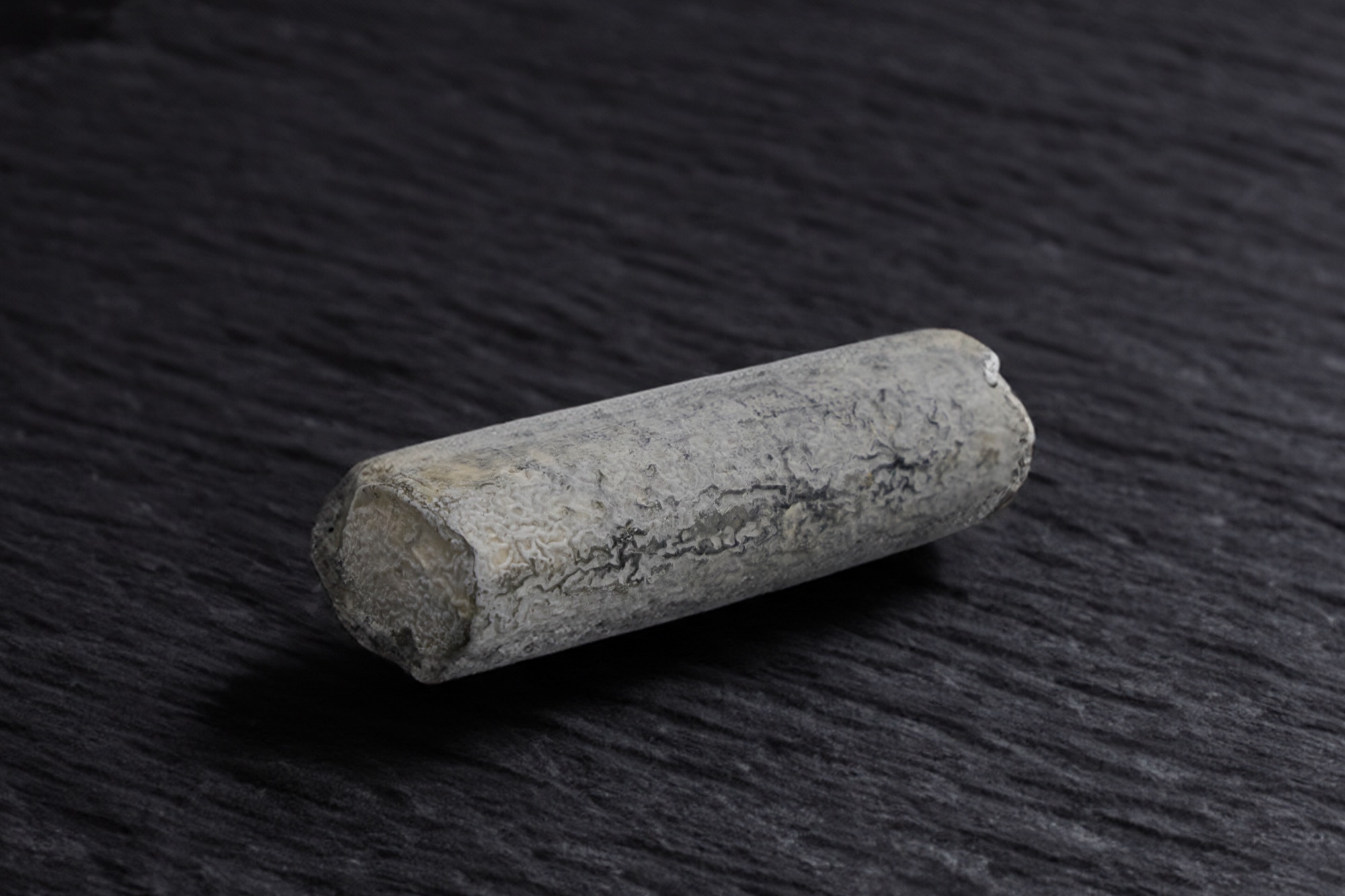 Bûche de Sainte-Maure de Touraine à croûte cendrée, sur ardoise