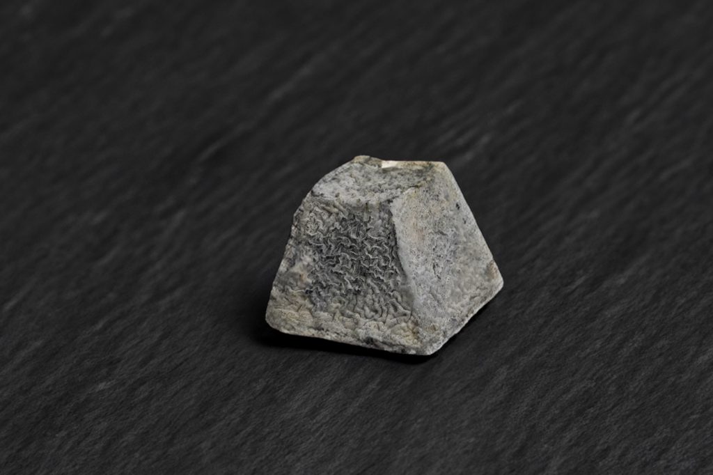 Valençay, pyramide tronquée de chèvre à croûte cendrée, sur ardoise