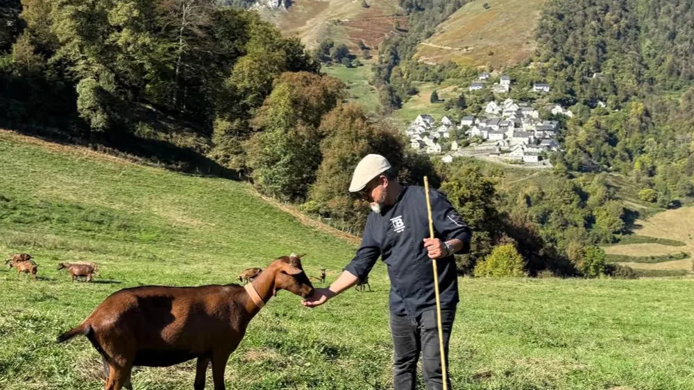 Mohammed Barkaoui en alpage auprès d’une chèvre, chez un producteur