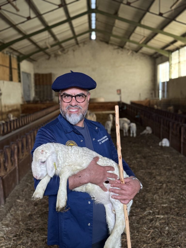 Mohammed Barkaoui portant un agneau dans la bergerie