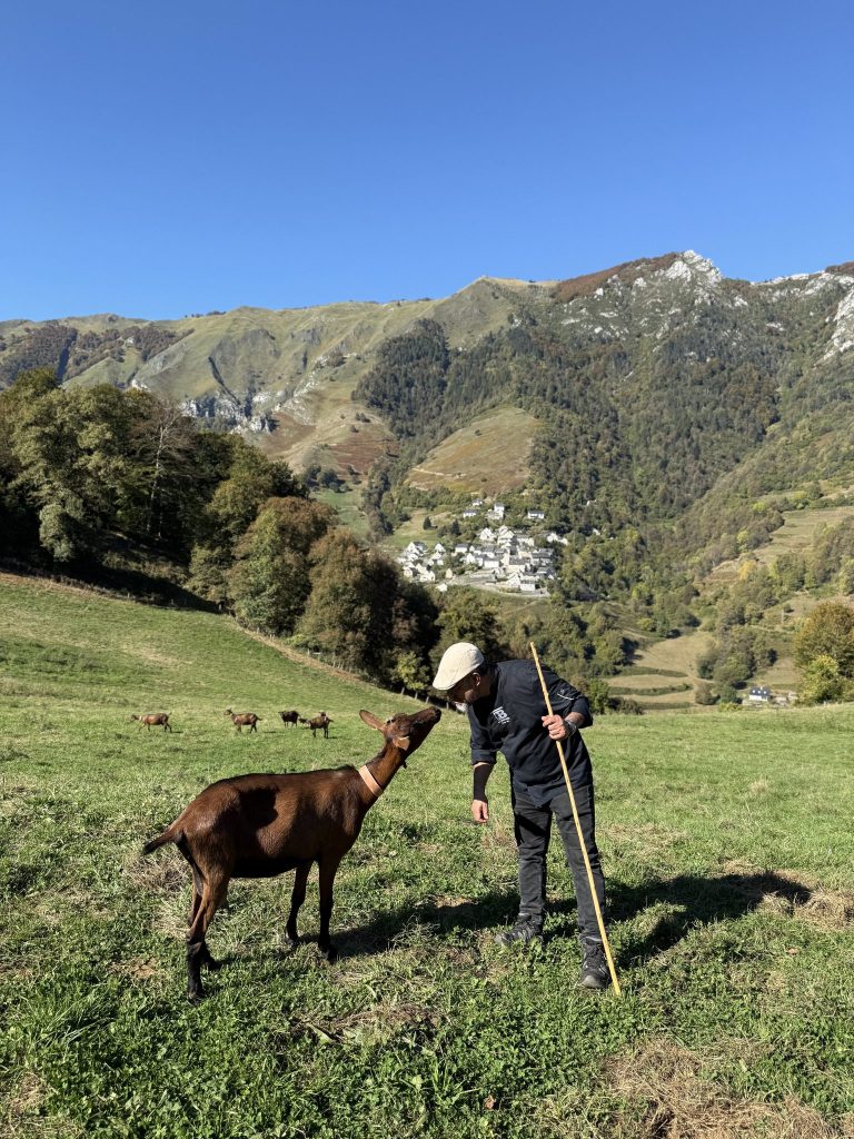 Chevrier et son troupeau dans la montagne